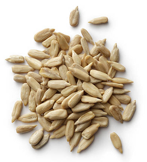 Sunflower Seeds White Background